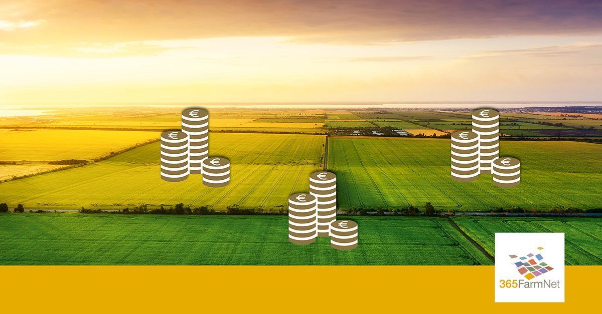 Field with coin illustration Field with coin illustration
