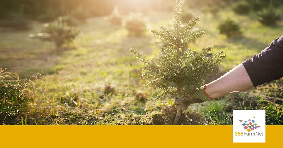 Frohe Weihnachten! Frohe Weihnachten!