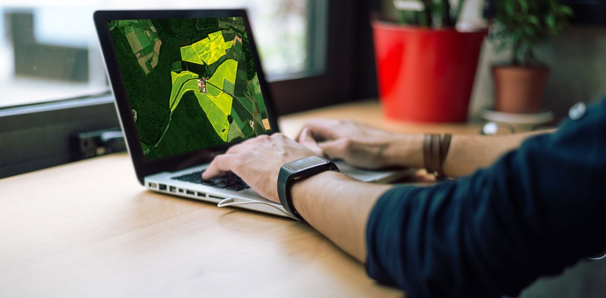 Männerhände am Laptop, der eine Vegetationskarte darstellt