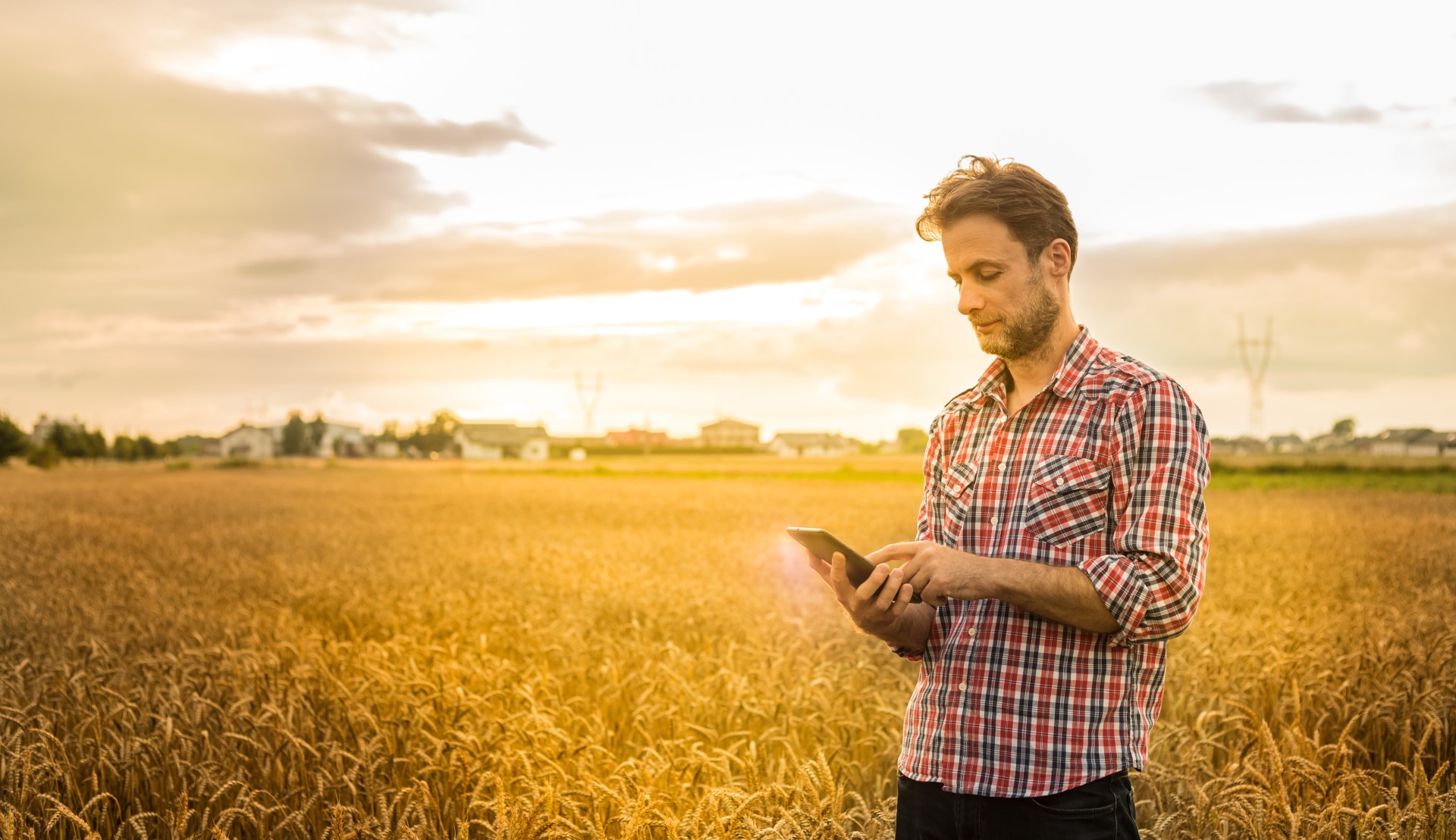 Agriculteur sur sa tablette devant un un champ de céréales.