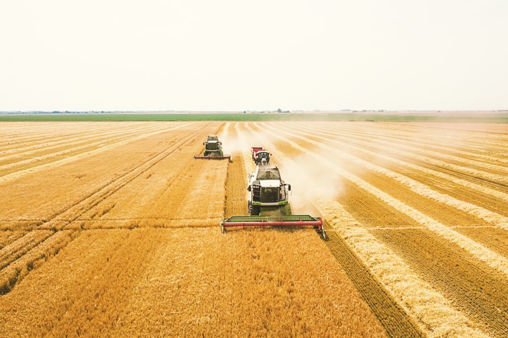 Combine harvester working on a wheat field. Combine harvester Aerial view.