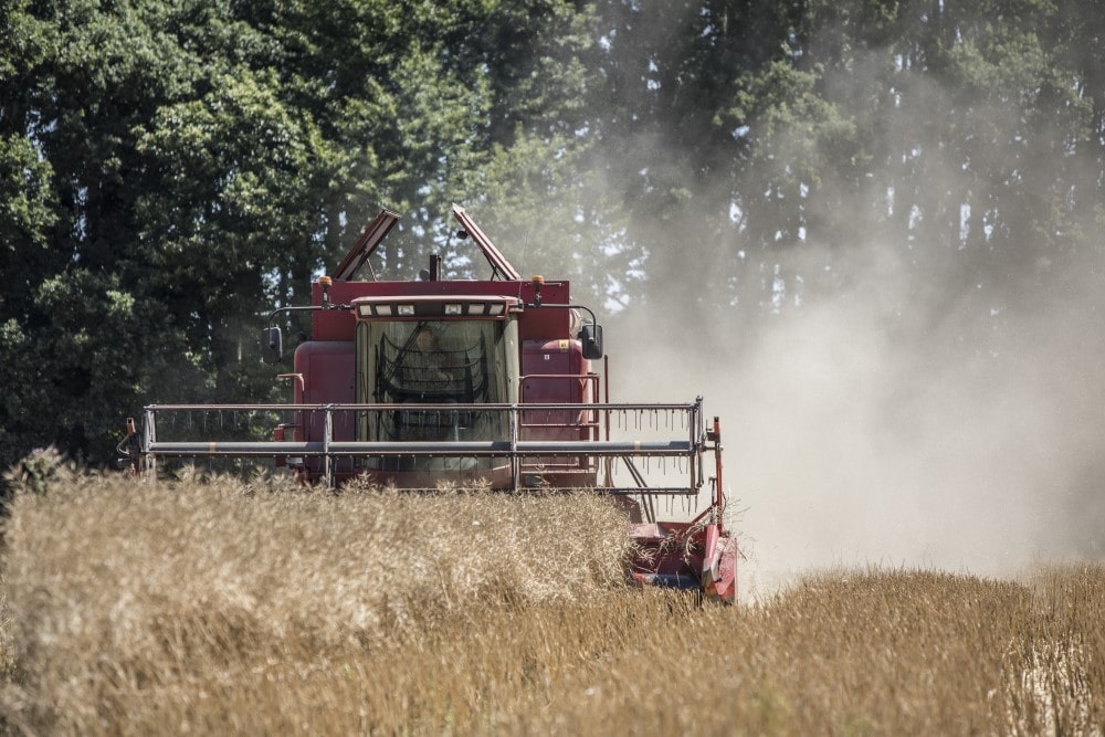 CASE combine during rapeseed harvest