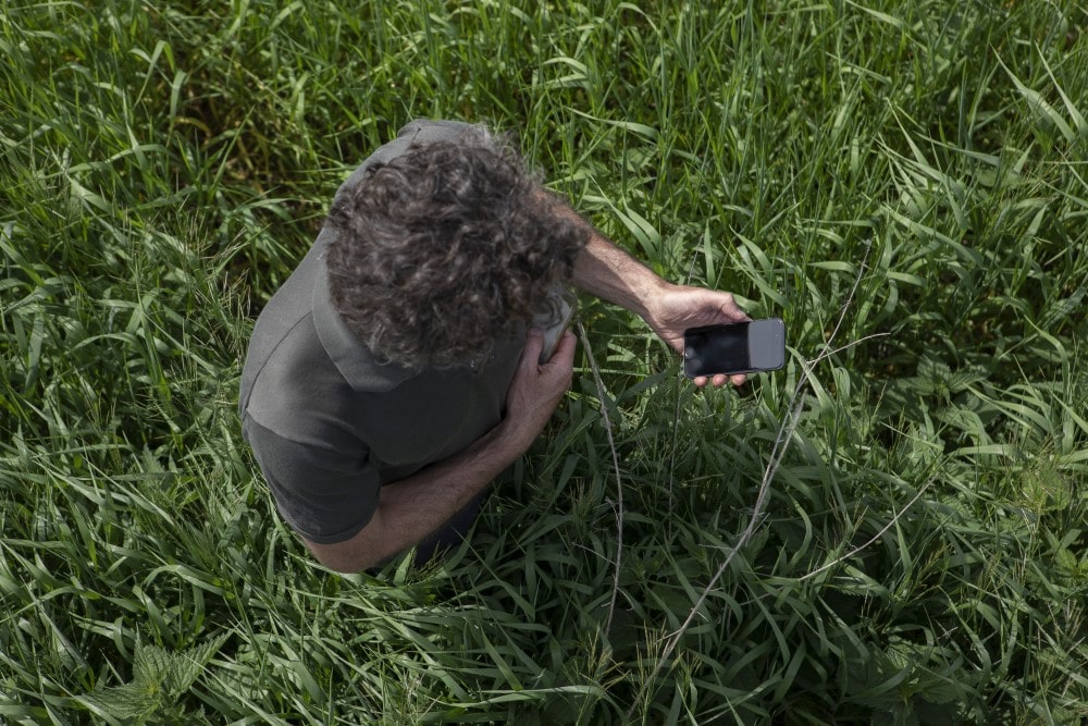 Agriculteur agronome utilisant un téléphone portable dans un champ de cultures Agriculteur agronome utilisant un téléphone portable dans un champ de cultures