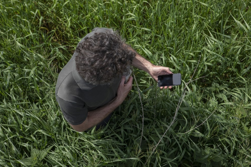 Farmer using mobile phone in a crop field.