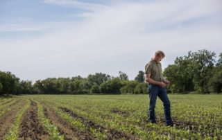 Agriculteur agronome utilisant un téléphone portable dans un champ de cultures