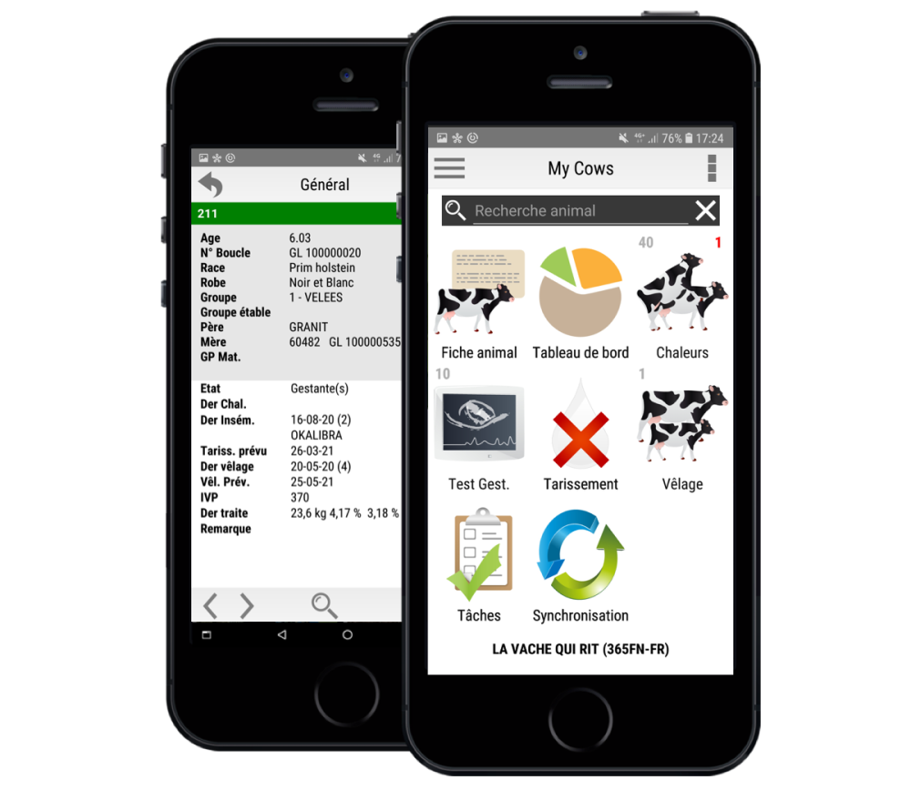 My Cows App My Cows App