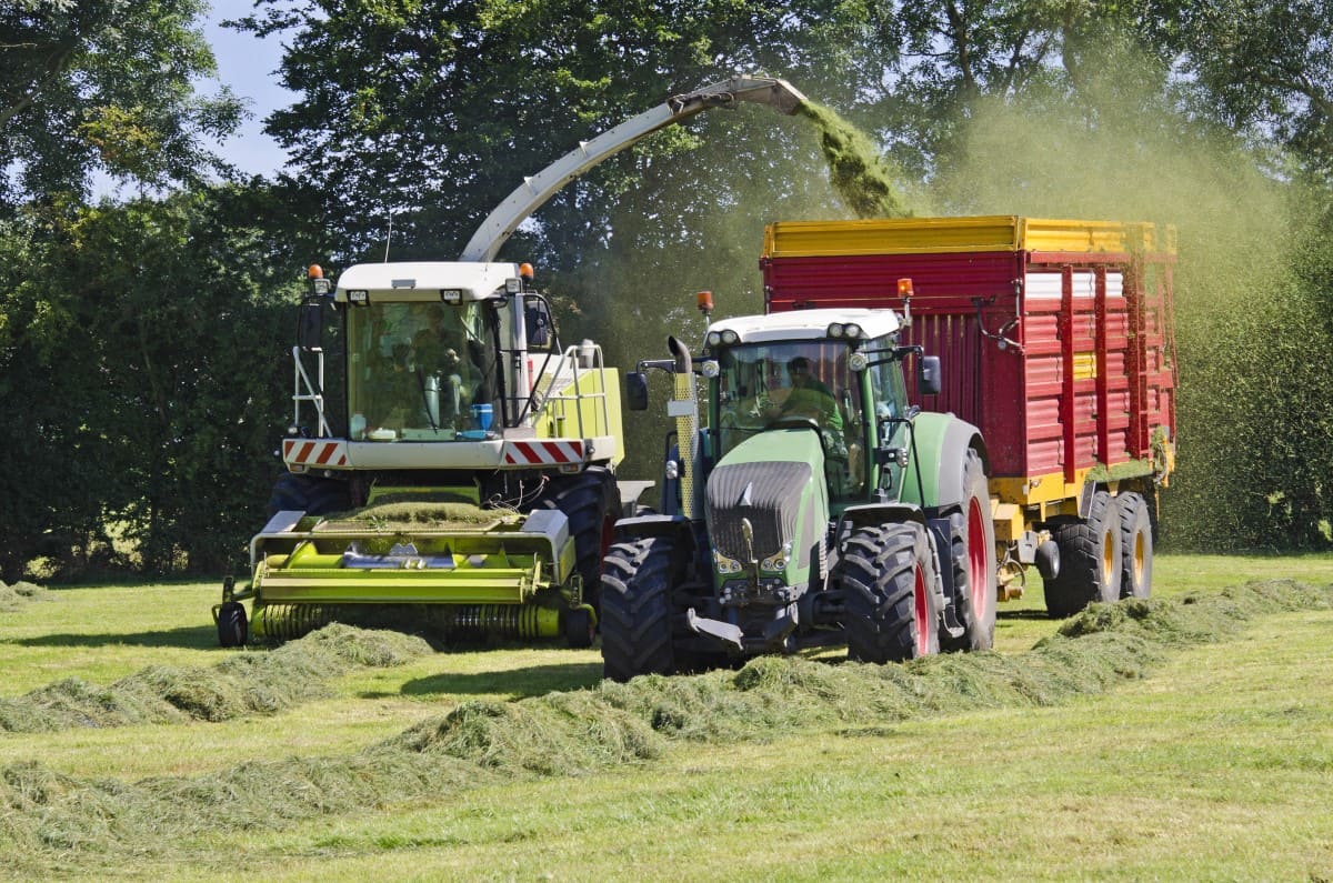 First cut in grassland 