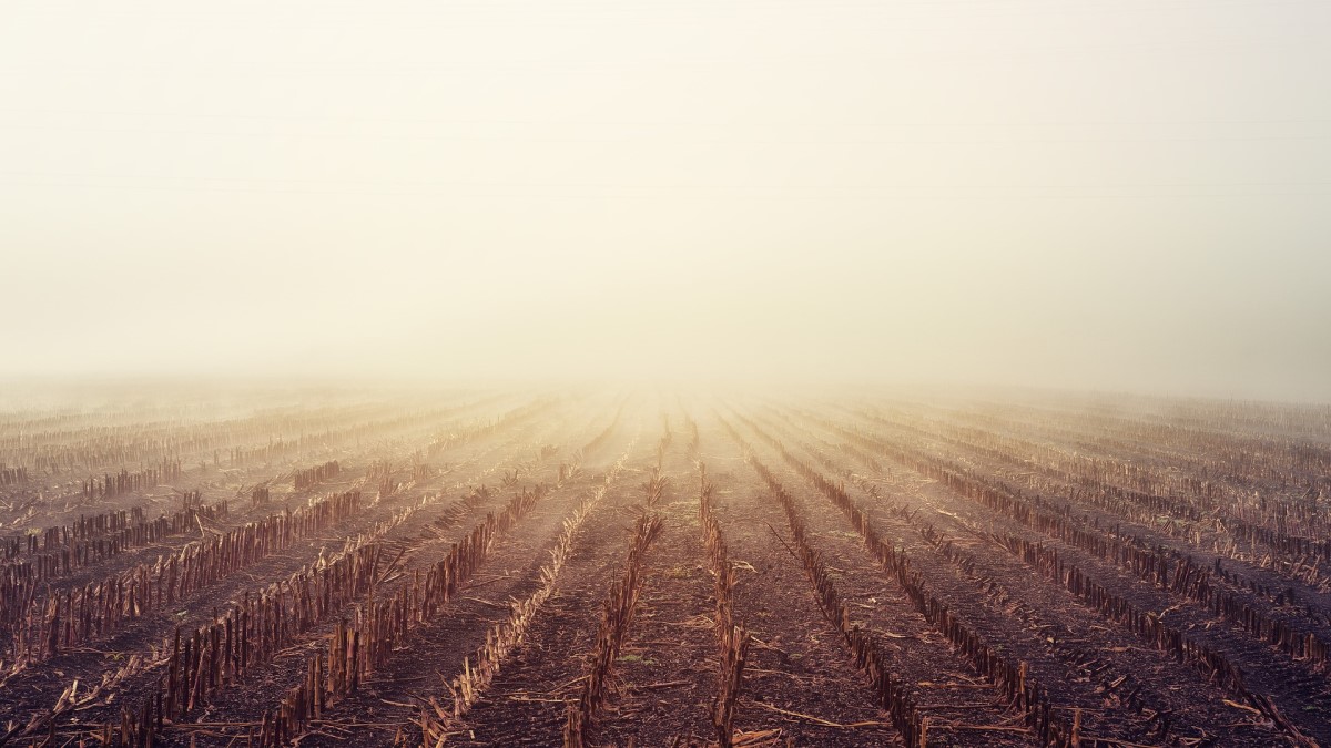 Stubble cultivation