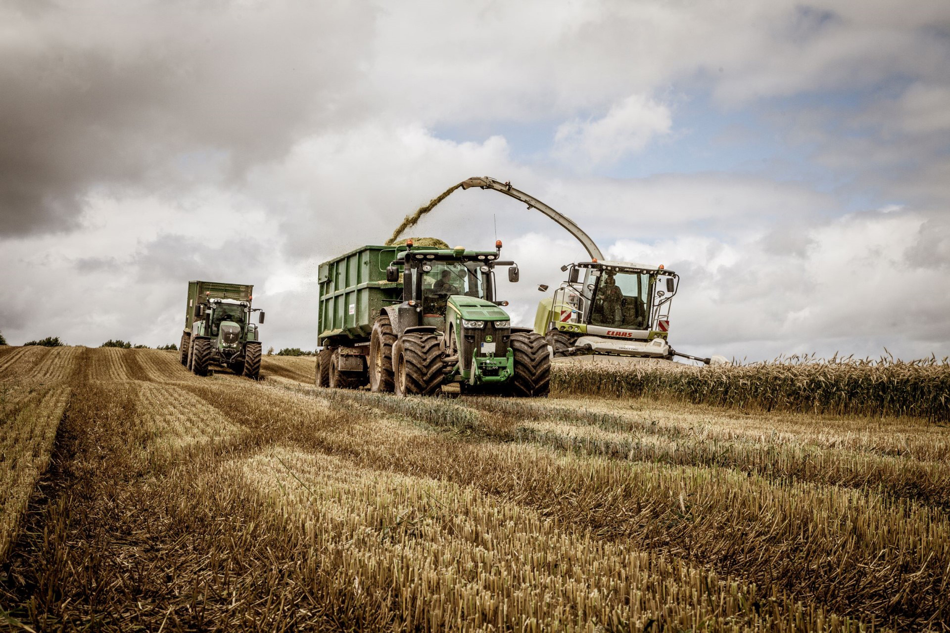 Maize sowing