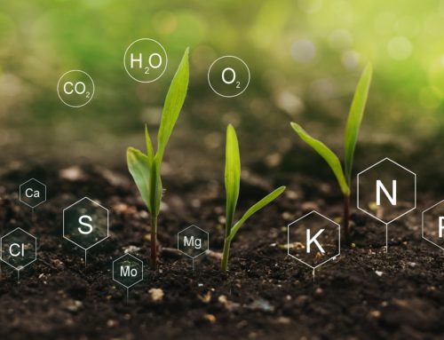 Accu­rate­ly adjust­ing soil nutrients