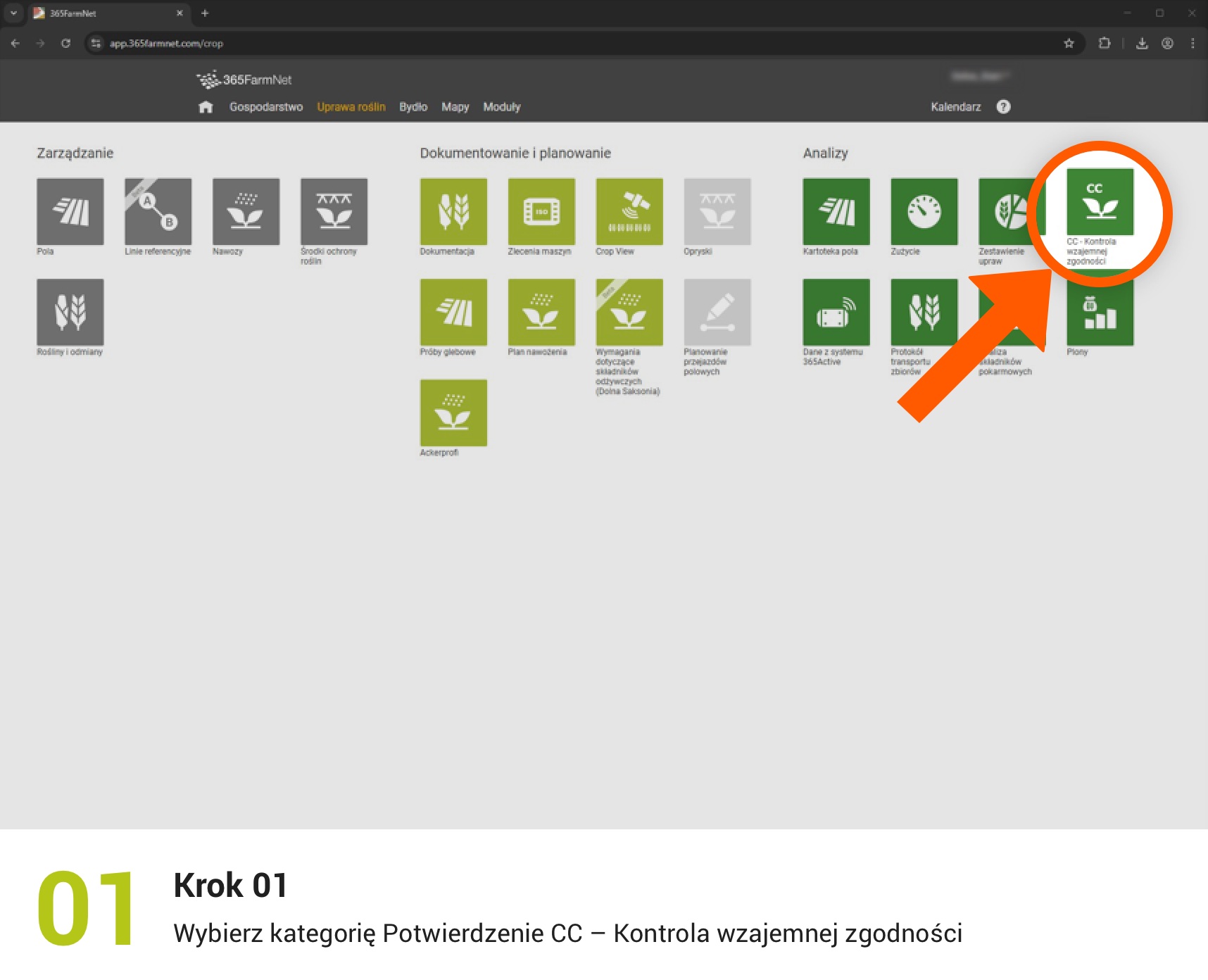 Eksport potwierdzeń CC