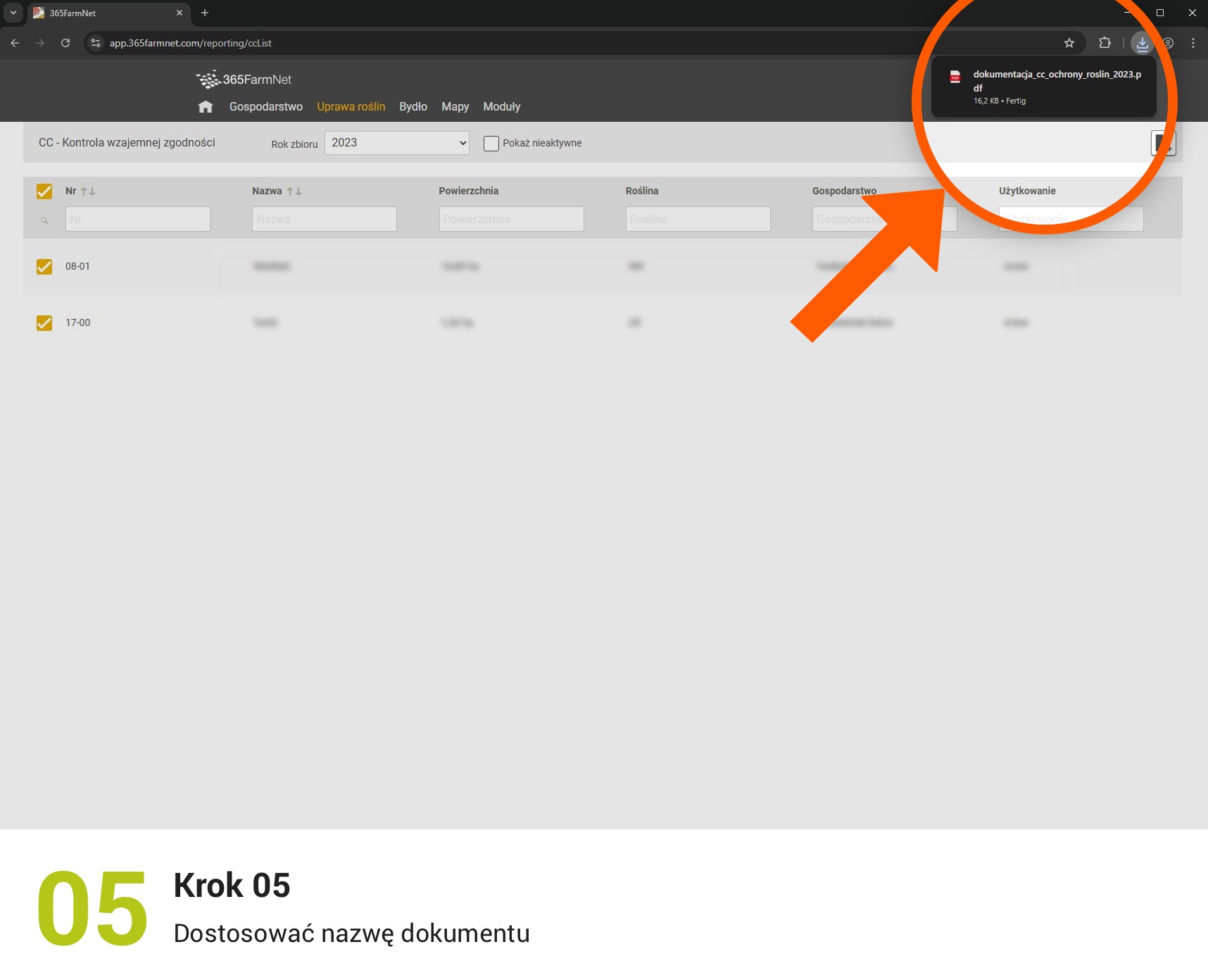 Eksport potwierdzeń CC